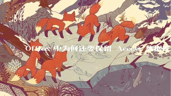 Office 中为何还要保留 Access 数据库?