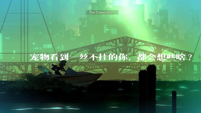 宠物看到一丝不挂的你, 都会想些啥?