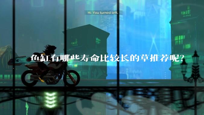 鱼缸有哪些寿命比较长的草推荐呢？